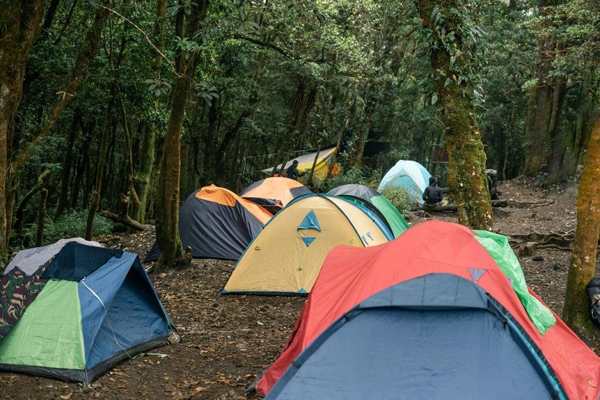 choosing the right camping gear